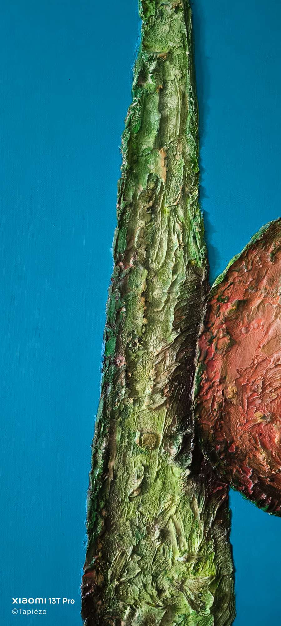 Árboles de Paz y Tranquilidad - Un Tributo a la Vida